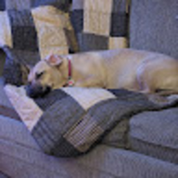 Meet your Posher, Meg - Picture 1 of 1